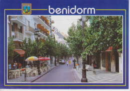 (BENI37) BENIDORM. ALICANTE. PASEO ALAMEDA - Alicante