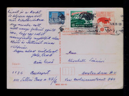 Gc8488 HUNGARY Driving Cars Let's Be Friends Postal Stationery Birds Oiseaux Slogan Pmk Mailed 1974 Amsterdam - Accidents & Road Safety