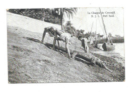 (36827-00) Egypte - Port Said -  La Chapelle De Crocodil - Other & Unclassified