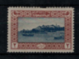 Turquie - "La Corne D'Or" - Neuf 2** N° 424 De 1916/17 - Unused Stamps