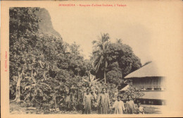 Tahiti, BoraBora, Bosquets D Arbres Fruitiers A Vaitape - Polynésie Française