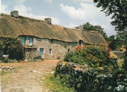 CPM - P - BRETAGNE - CHAUMIERE DANS LA CAMPAGNE BRETONNE - Bretagne