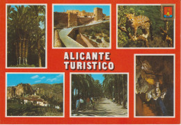 (B83)  ALICANTE TURISTICO ... NO CIRCULADA - Alicante