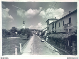 C198  Bozza Fotografica  Provincia Di Varese- Vergiate - Varese