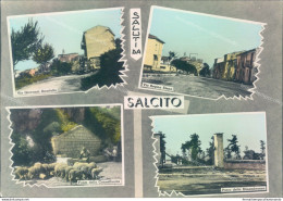 T458 Cartolina Saluti Da Salcito Provincia Di Campobasso - Campobasso