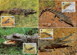 Congo Brazza 1987 Y&T PA 361 à 364 Sur Cartes Maxima. WWF, Faune Protégée, Crocodiles - Altri & Non Classificati