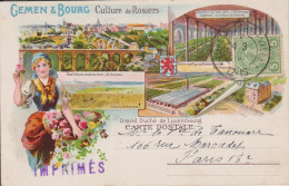 GEMEN ET BOURG - CULTURE DE ROSIERS - CARTE RARE - Luxemburg - Stadt