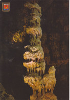 (AKP349) ALICANTE. BUSOT. CUEVAS DEL CANALOBRE. CANDELABRO - Alicante