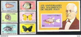 1301  Fishes  - Butterflies - Shells - Yv 1768-73 + BF 41  - No Gum - Cb - 1,75 - Peces