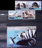 South Georgia And The South Sandwich Islands 2023, Frozen Planet, MNH Stamps Set - Zuid-Georgia