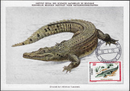 Congo Brazza 1971 Y&T 292, Carte Maximum. Reptile, Crocodile - Altri & Non Classificati