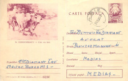 Postal Stationery Postcard Romania Nicolae Grigorescu Car Cu Boi - Roumanie