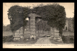 53 - ENVIRONS DE LASSAY - RUINES DE BOIS FROU - Lassay Les Chateaux