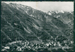 Torino Bobbio Pellice Foto FG Cartolina KB2697 - Other & Unclassified