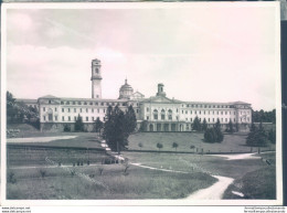 C234  Bozza Fotografica  Provincia Di Varese - Venegono - Varese