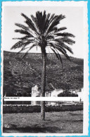 VIS - Pravoslavna Crkva (Orthodox Church) ... Built In 1933 - Demolished In 1964 * Croatia * Island Vis (Lissa) RRR - Croatie