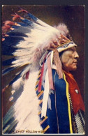 Indigenous Sioux Chief Hollow Horn - Troilene Indian Series - Indiaans (Noord-Amerikaans)