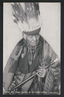 Native American - Chief San Diego Naranjo Of The Pueblo Indians - Mutoscope Card - Indiani Dell'America Del Nord