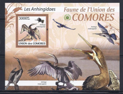 Comores - 2009 - Birds - Yv Bf 215 - Andere & Zonder Classificatie