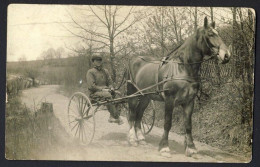 RPPC Farm Exercising Track Sulky Man Horse Cart Harness Racing C.1904 - 1908 - Fermes