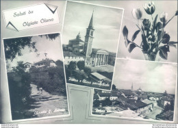 C566 - Cartolina Provincia Di Varese - Saluti Da Olgiate Olona - Varese