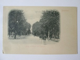 Romania-Bucuresti:L'allee Principale Du Parc Cismigiu C.pos.voyage 1900/The Main Alley Of Cismigiu Park 1900 Mailed Post - Romania