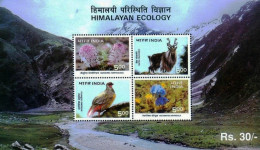 INDIA 1996 HIMALAYAN ECOLOGY BIRDS ANIMALS FLOWERS ORCHIDS MINIATURE SHEET MS MNH - Neufs