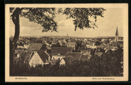 AK Siegburg, Blick Vom Michaelsberg  - Siegburg