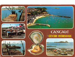 35 CANCALE - Cancale