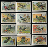 Meurisse - Ca 1930 - 34 - Les Colibris, Hummingbirds, Birds - Full Serie - Otros & Sin Clasificación