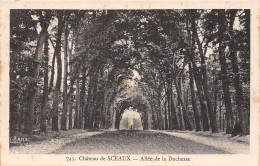 92-SCEAUX-N°T5050-C/0007 - Sceaux