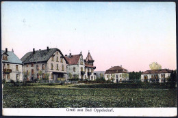 Poland / Polen / Polska: Bad Oppelsdorf (Opolno-Zdrój)  1909 - Pologne