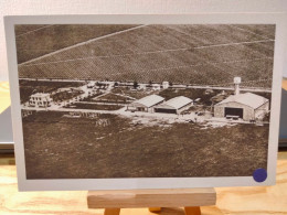 Delcampe - ALGÉRIE. ALGER. MAISON-BLANCHE.  AÉRODROME AIRPORT - Aerodrome