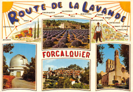 04-FORCALQUIER-N°4241-C/0117 - Forcalquier
