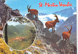 06-SAINT MARTIN VESUBIE-N°4241-B/0051 - Saint-Martin-Vésubie