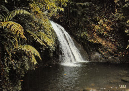 971-GUADELOUPE RESERVE NATURELLE-N°4241-A/0239 - Autres & Non Classés