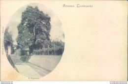C402 - Cartolina Provincia Di  Varese - Somma Lombardo - Il Cipresso - Varese