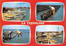 17-LA TREMBLADE-N°4241-C/0311 - La Tremblade