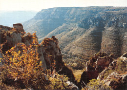 48-GORGES DU TARN-N°4243-B/0223 - Gorges Du Tarn