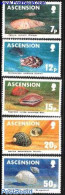 Ascension 1983 Shells 5v, Mint NH, Nature - Shells & Crustaceans - Mundo Aquatico