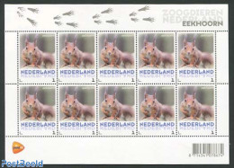 Netherlands 2013 Squirrel M/s, Mint NH, Nature - Animals (others & Mixed) - Neufs