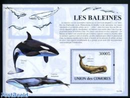 Comoros 2009 Whales S/s, Mint NH, Nature - Sea Mammals - Komoren (1975-...)