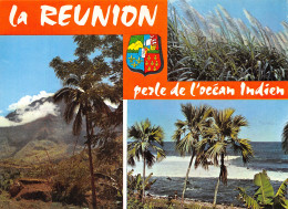 974-LA REUNION-N°4245-B/0367 - Other & Unclassified