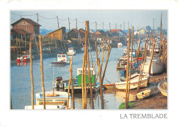 17-LA TREMBLADE-N°4246-A/0247 - La Tremblade