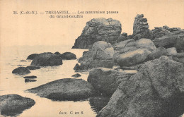 22-TREGASTEL-N°4246-E/0061 - Trégastel