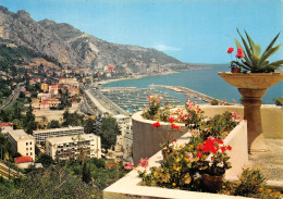 06-MENTON-N°4246-D/0117 - Menton