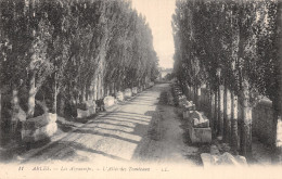 13-ARLES LES ALYSCAMPS-N°T5055-A/0359 - Arles