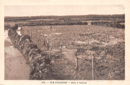 17-ILE D OLERON PARC A HUITRES-N°T5056-B/0127 - Ile D'Oléron