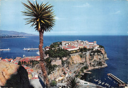 06-MONACO-N°4249-D/0351 - Autres & Non Classés