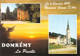 88-DOMREMY-N°4250-C/0399 - Domremy La Pucelle